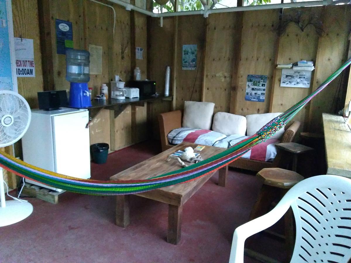 Placencia Hostel Zewnętrze zdjęcie